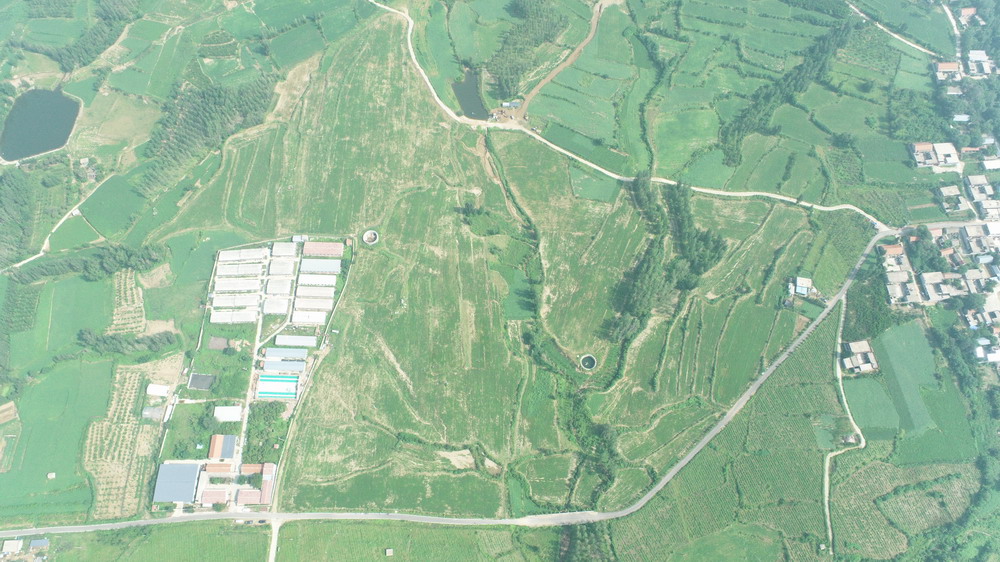 徐长卿2号地.jpg