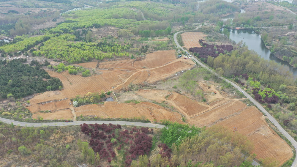 万紫园基地航拍.JPG